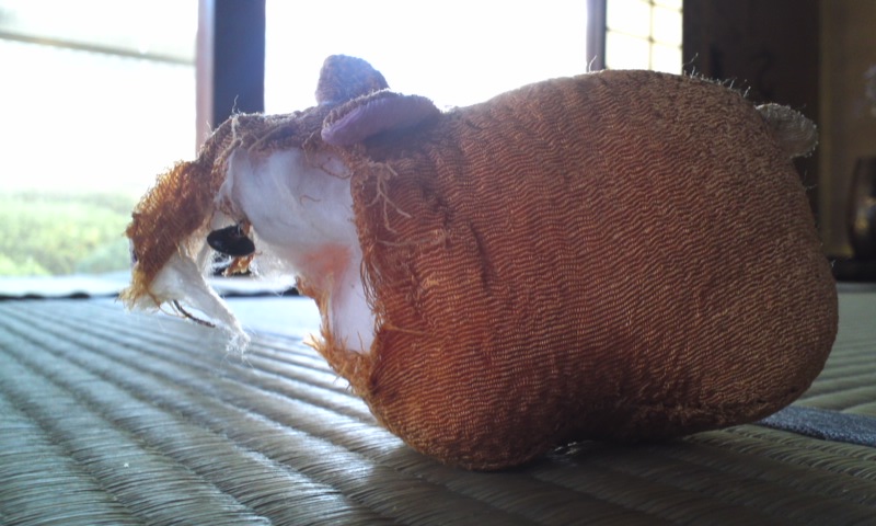 b0134529_016433.jpg