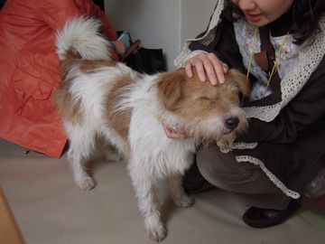 d0104029_1317140.jpg