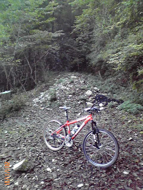 b0222530_1351342.jpg