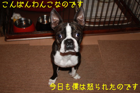 a0190132_23143472.jpg