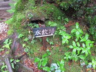 f0224632_18104581.jpg