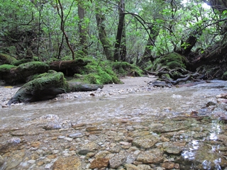 f0224632_18111091.jpg