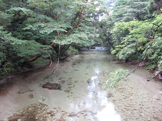 f0224632_18113310.jpg