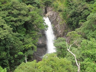 f0224632_184190.jpg