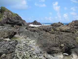f0224632_188433.jpg