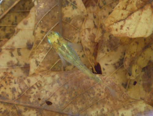e0097534_16101591.jpg
