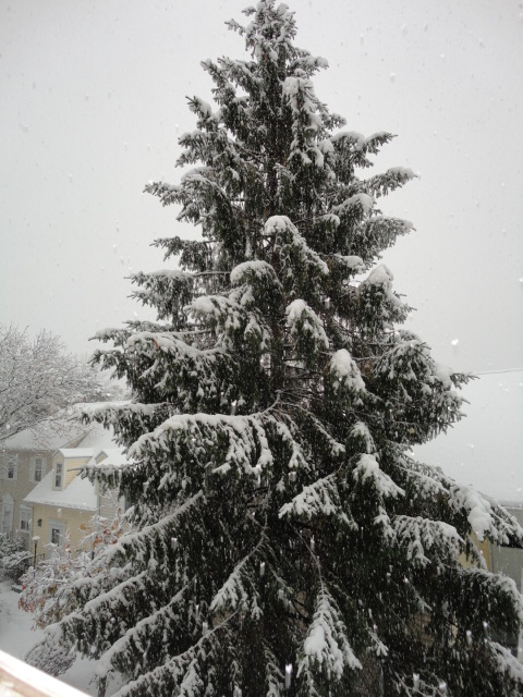 a0224537_441476.jpg