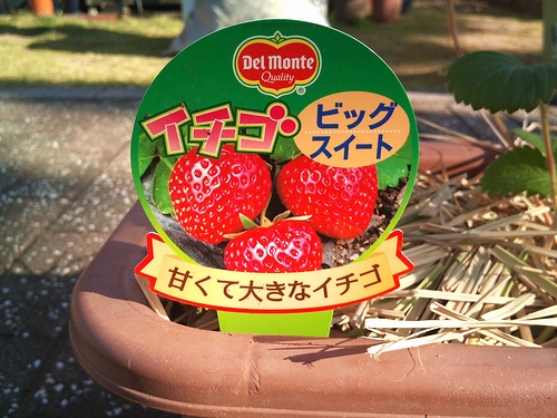 a0034438_15531025.jpg