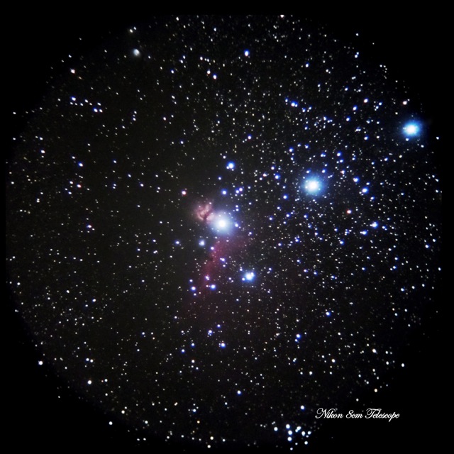 b0167343_152520.jpg