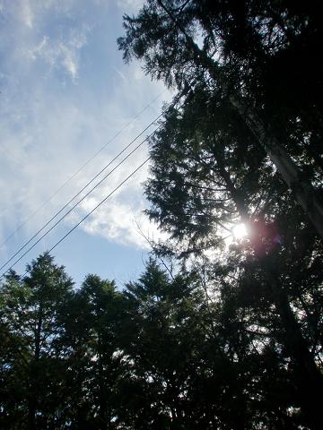 c0172261_9282735.jpg