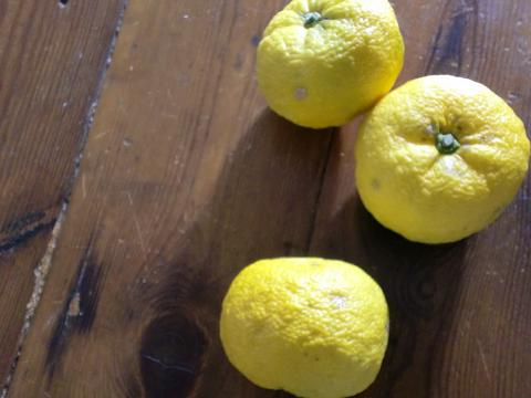 c0172261_9361281.jpg