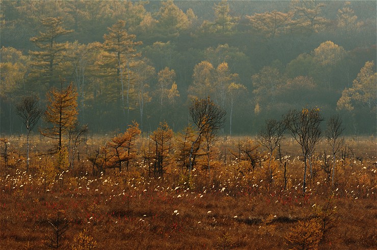 f0222161_13152648.jpg