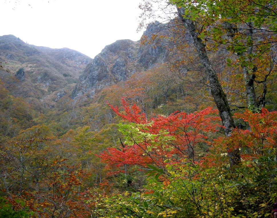 b0185573_945472.jpg