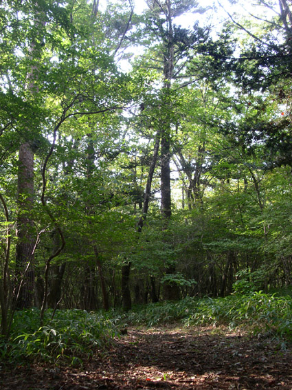 e0118274_21344231.jpg