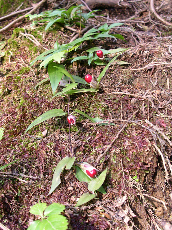e0118274_2201822.jpg