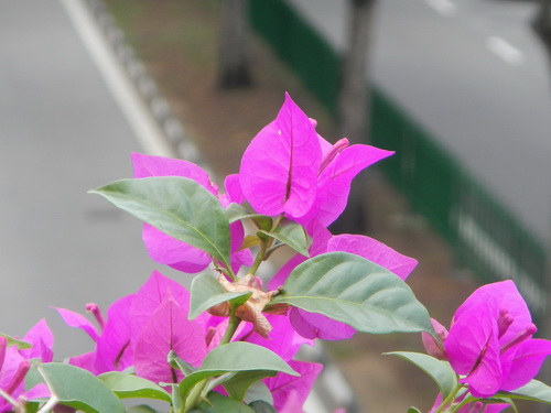a0002177_15132272.jpg