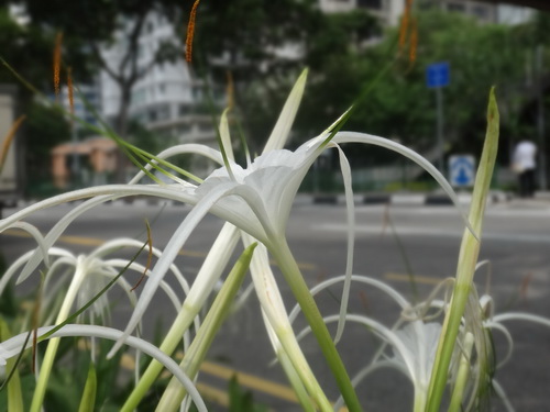 a0002177_15133271.jpg