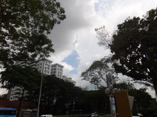 a0002177_1513420.jpg