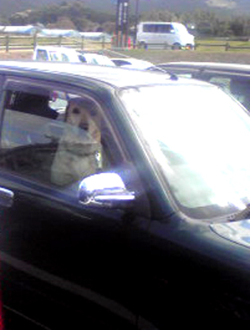 c0125283_1843573.jpg