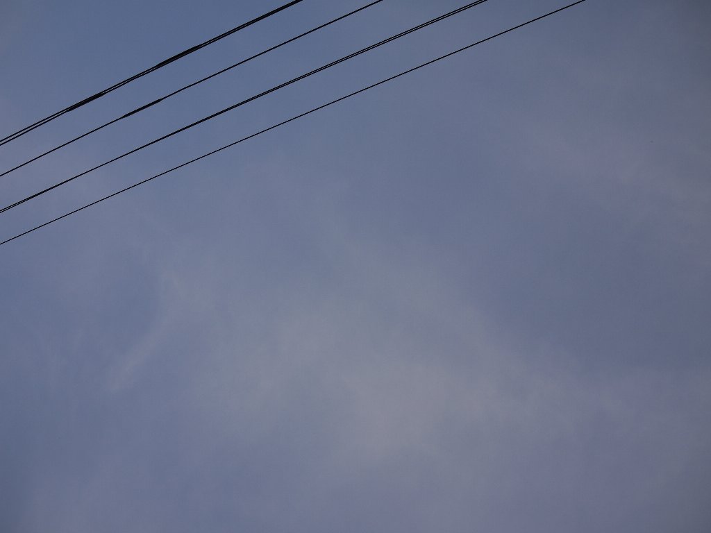 c0221584_19522181.jpg