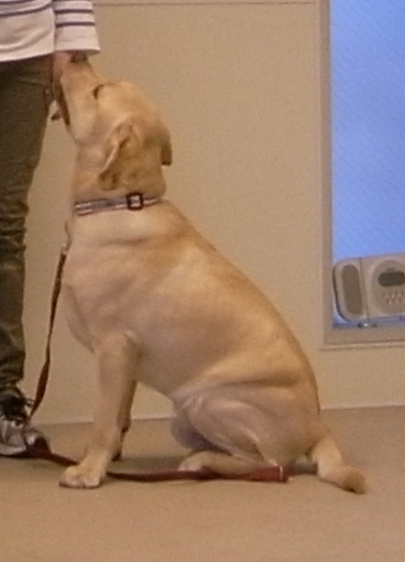 a0195486_21335215.jpg