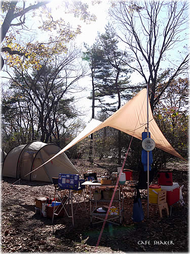 e0138787_10412715.jpg