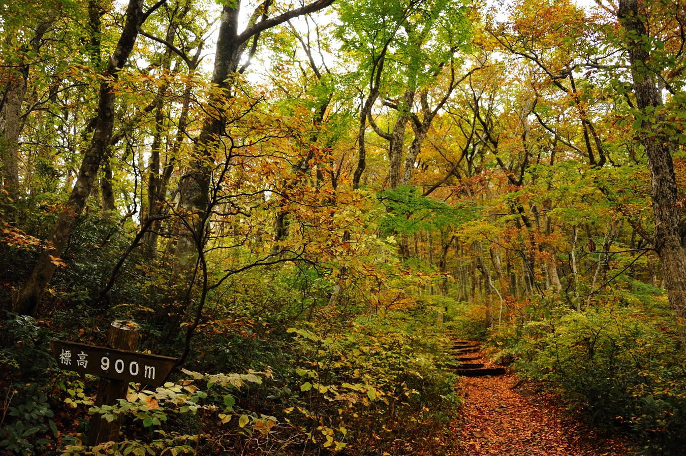 c0138991_20491061.jpg