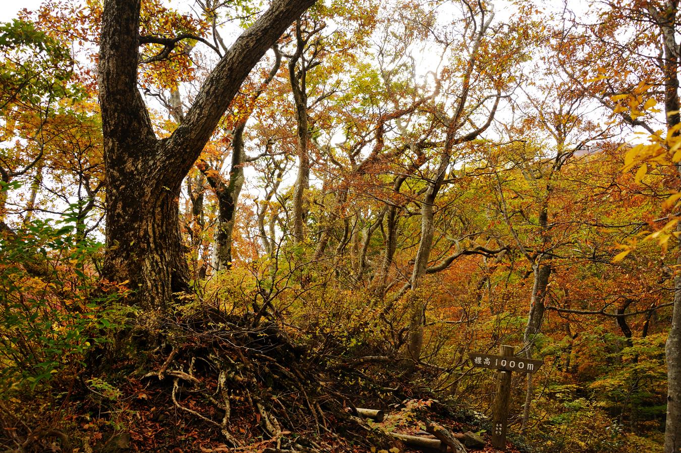 c0138991_21171246.jpg