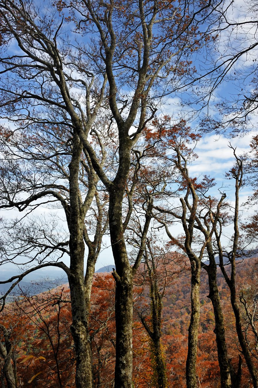 c0138991_21334029.jpg
