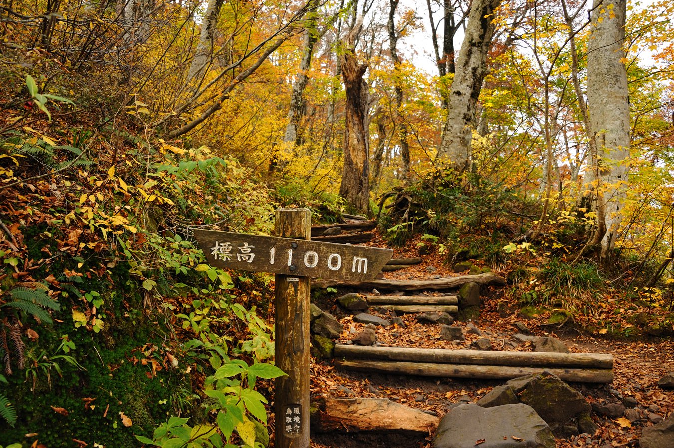 c0138991_2133974.jpg