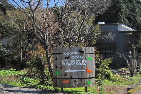 b0104592_2053368.jpg