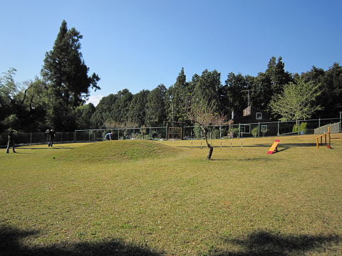 b0104592_21142057.jpg