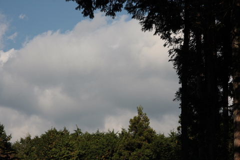 b0104592_21233982.jpg