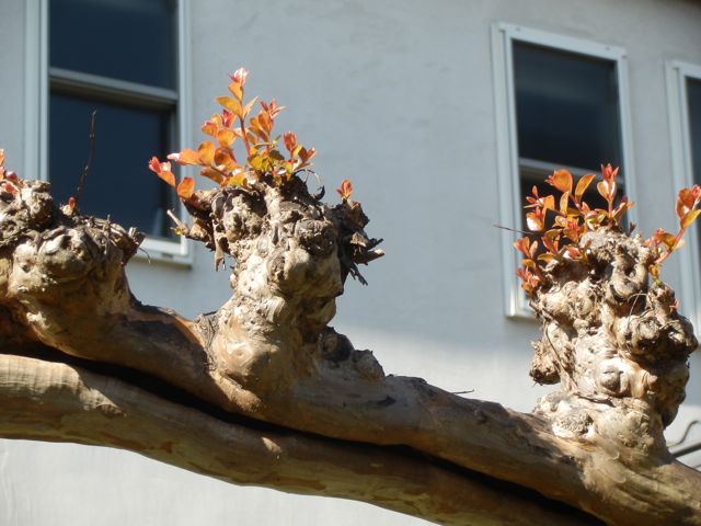 f0130894_2146588.jpg