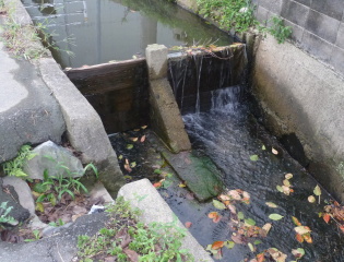 f0166694_2122045.jpg