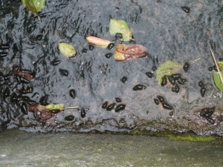 f0166694_2171766.jpg