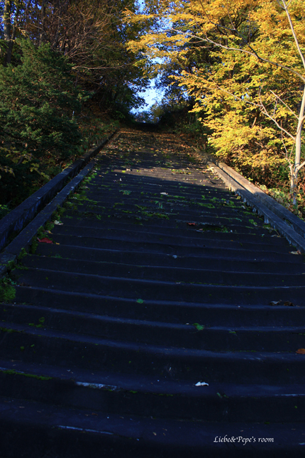 f0001895_16123118.jpg