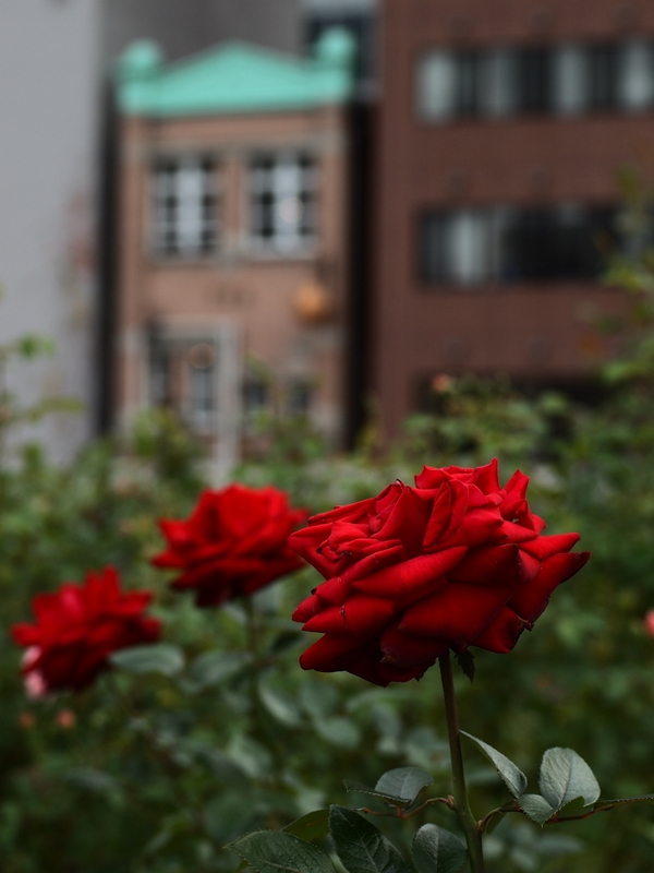 b0138101_21571835.jpg