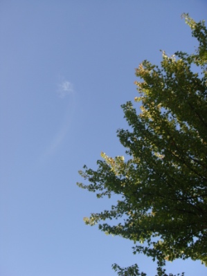 a0167803_9124328.jpg
