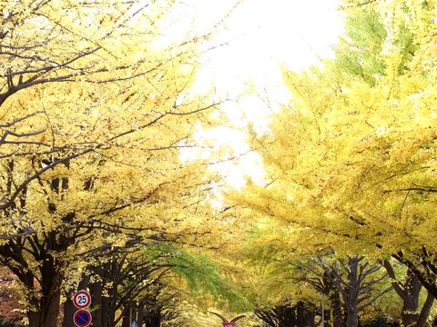e0117805_20153118.jpg