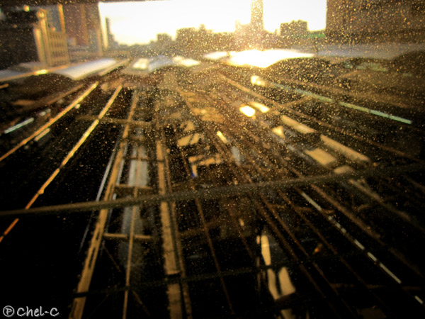 a0154706_1825565.jpg