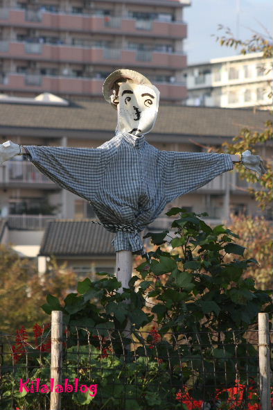e0130008_20565930.jpg