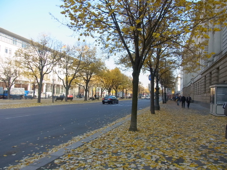 f0200015_557286.jpg