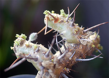e0168016_13221150.jpg