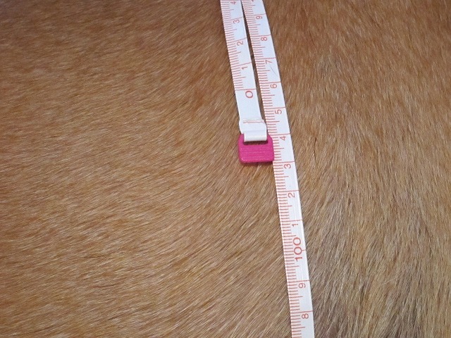 e0192217_9271313.jpg