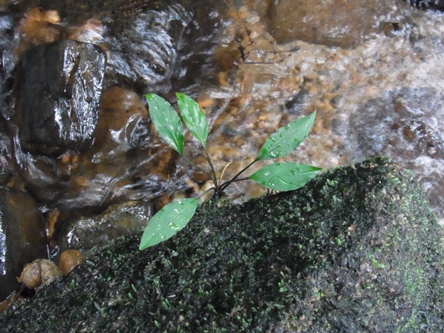 e0206818_2110137.jpg