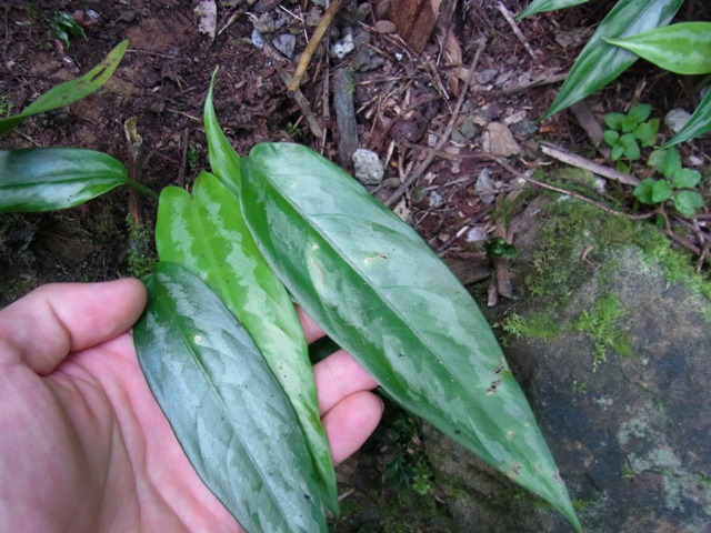 e0206818_21143136.jpg