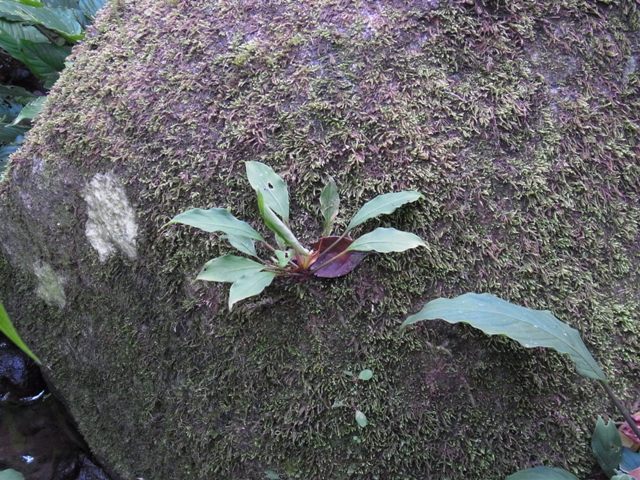 e0206818_2161956.jpg