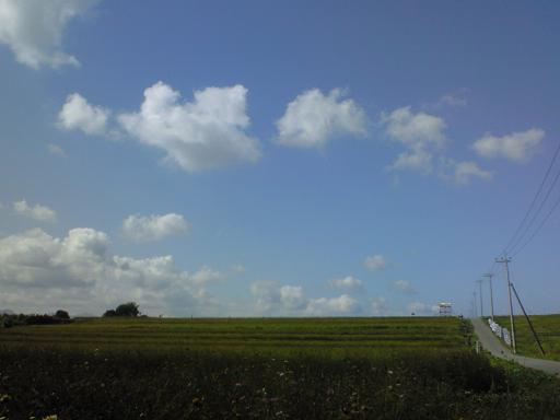 c0097620_19253735.jpg