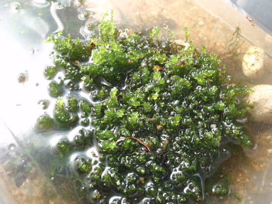d0187020_2038076.jpg